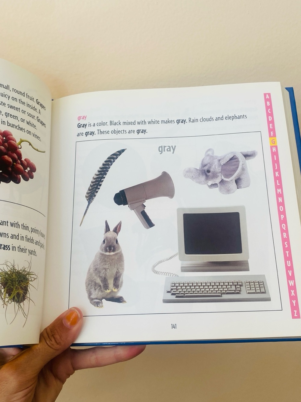 Picture dictionary - Picture 4 of 6